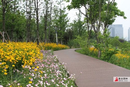 2019年苏州市园林绿化优秀工程丨青山湖景观绿及科技城慢步道改造工程